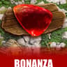 Bonanza