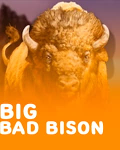 Big Bad Bison