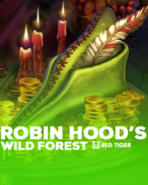 Robin Hood's Wild Forest