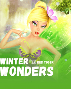 Winter Wonders