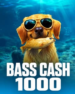 Bass Cash 1000