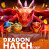 Dragon Hatch