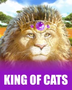 King of Cats
