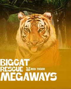 Big Cat Rescue Megaways
