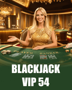 Blackjack VIP 54