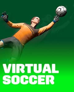 Virtual Soccer