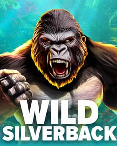 Wild Silverback