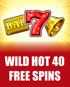 Wild Hot 40 Free Spins