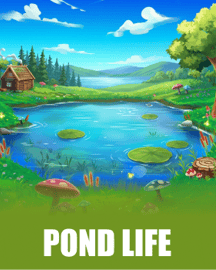 Pond Life