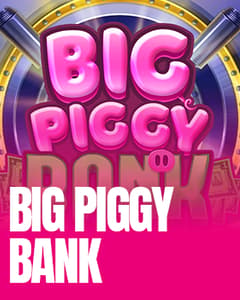 Big Piggy Bank