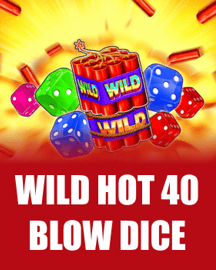 Wild Hot 40 Blow Dice